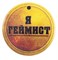 Значок «Геймист» STD0008-1 - фото 6754